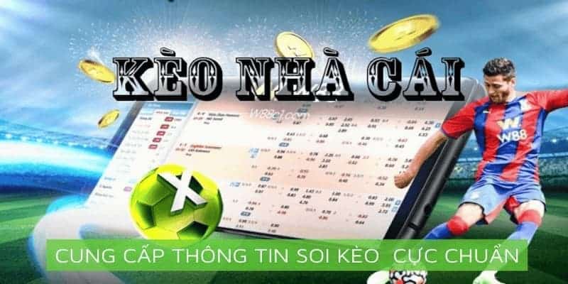 Lý do người chơi nên đánh kèo châu Âu tại nhà cái WW88